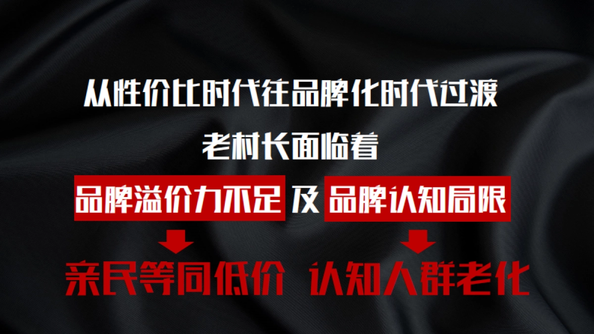 老村长品牌升级规划提报_第5页