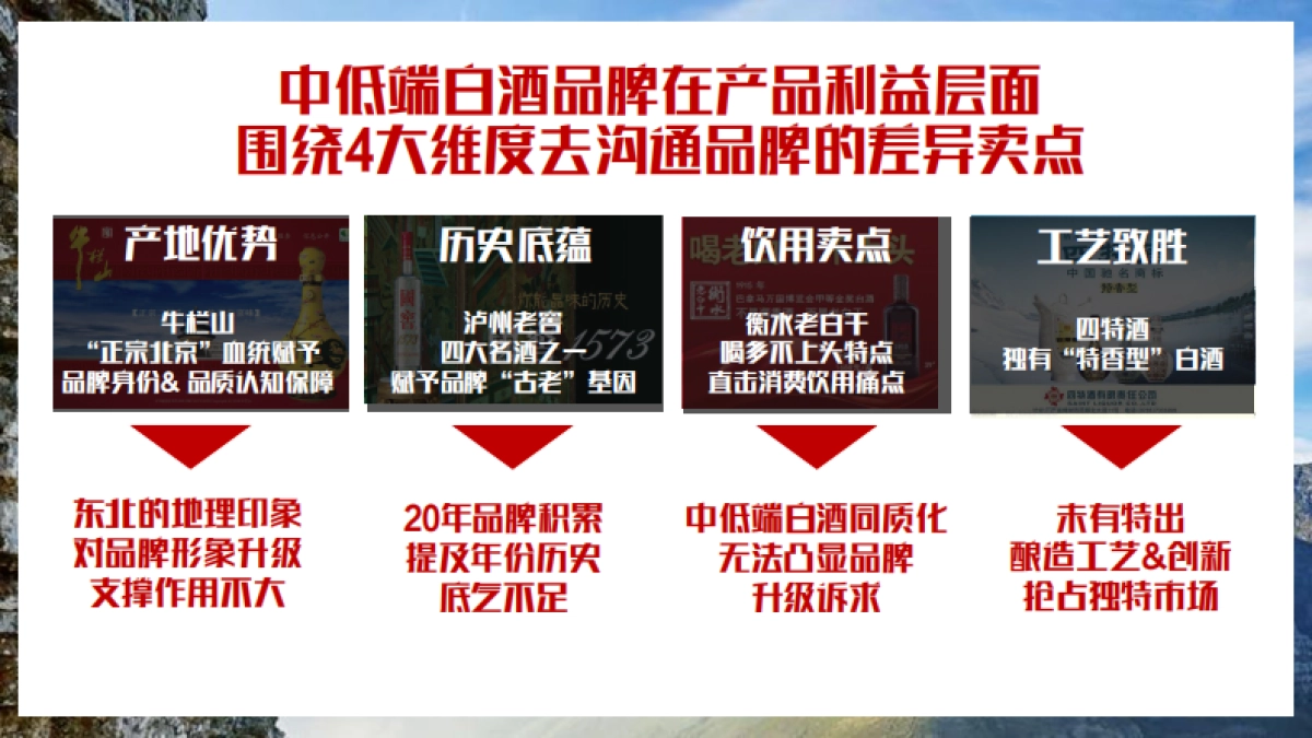 老村长品牌升级规划提报_第9页