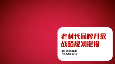 老村长品牌升级规划提报