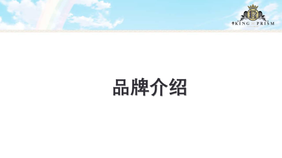 棱镜之王品牌介绍_第3页