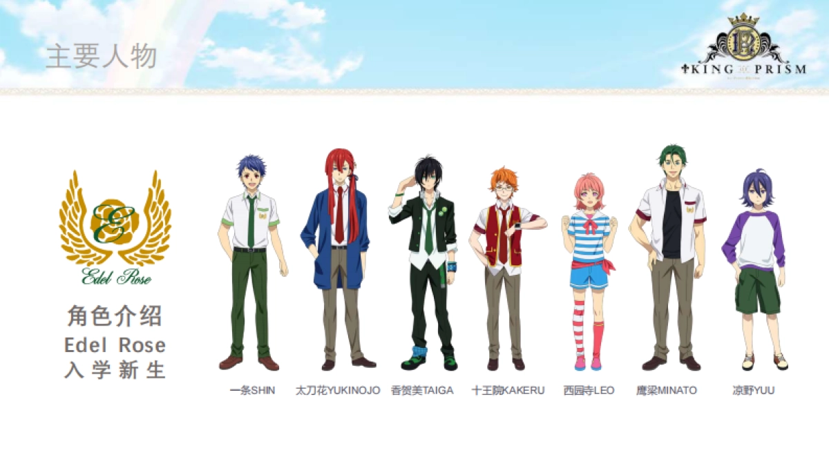 棱镜之王品牌介绍_第7页