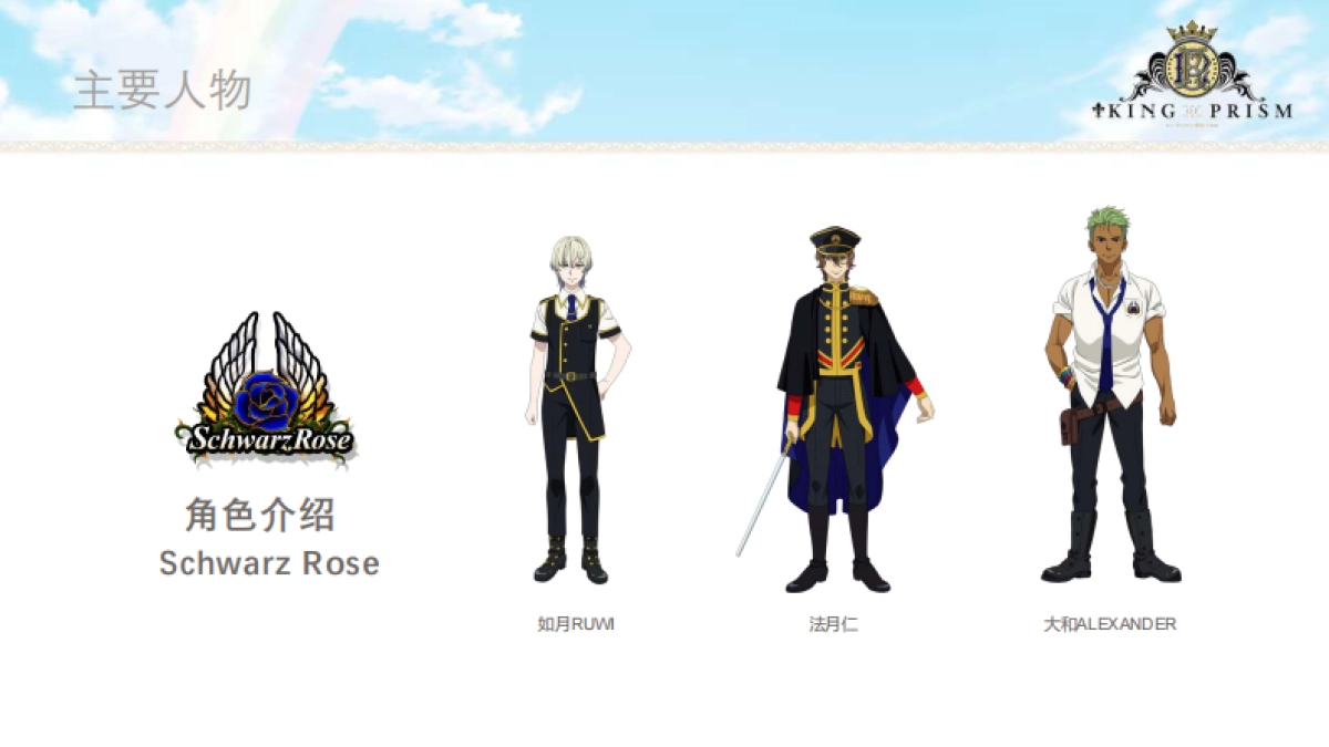 棱镜之王品牌介绍_第8页