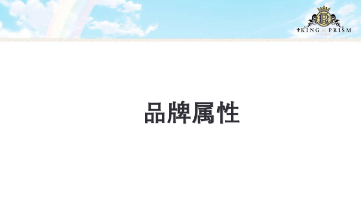 棱镜之王品牌介绍_第9页