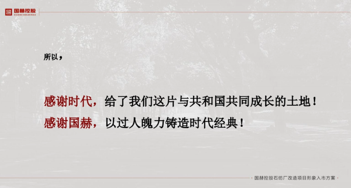 六度品牌国赫控股石纺厂项目入市方案_第9页