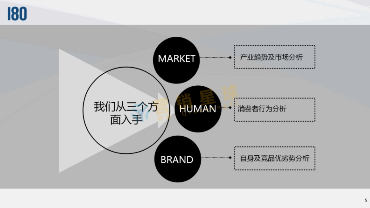 大象贵金属2016下半年品牌策略_第5页
