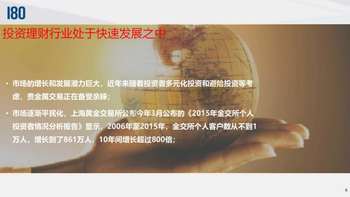 大象贵金属2016下半年品牌策略_第6页