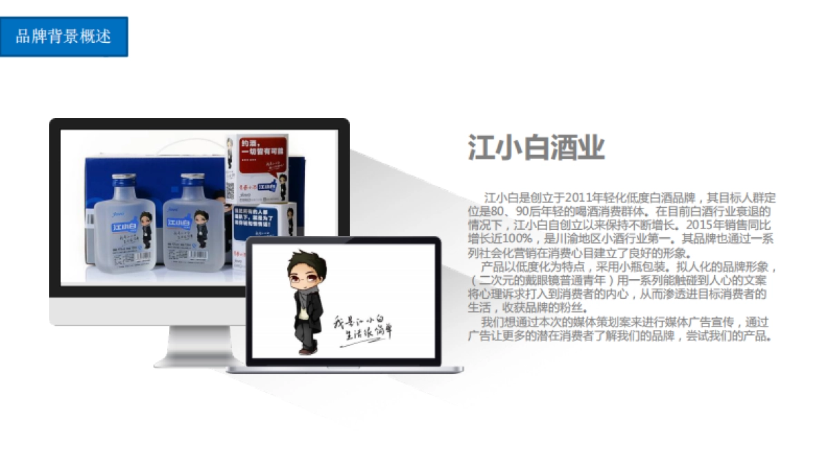 第一季度江小白媒介策划书页_第5页