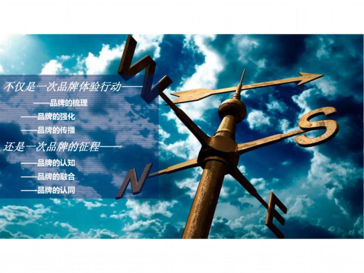 东风标致动感品牌体验行动策划方案_第10页