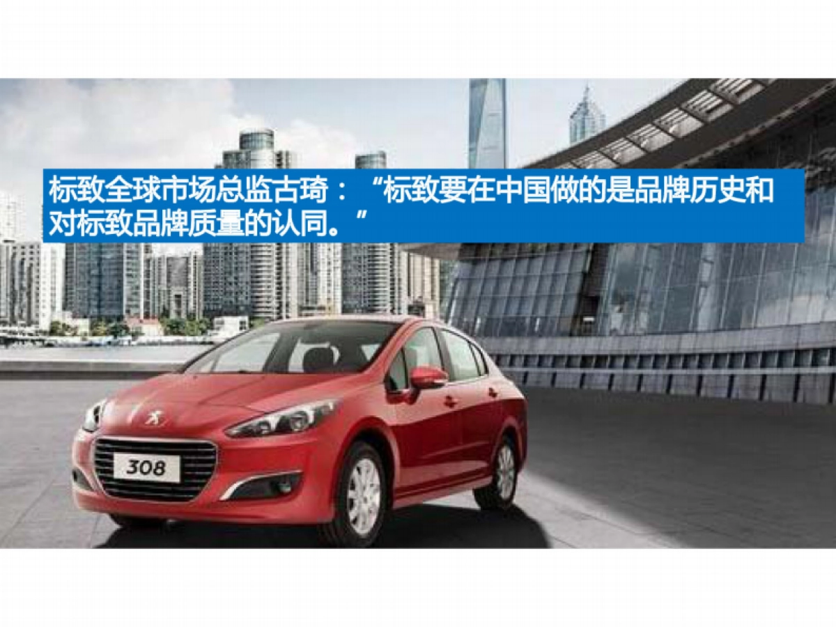 东风标致动感品牌体验行动策划方案_第5页