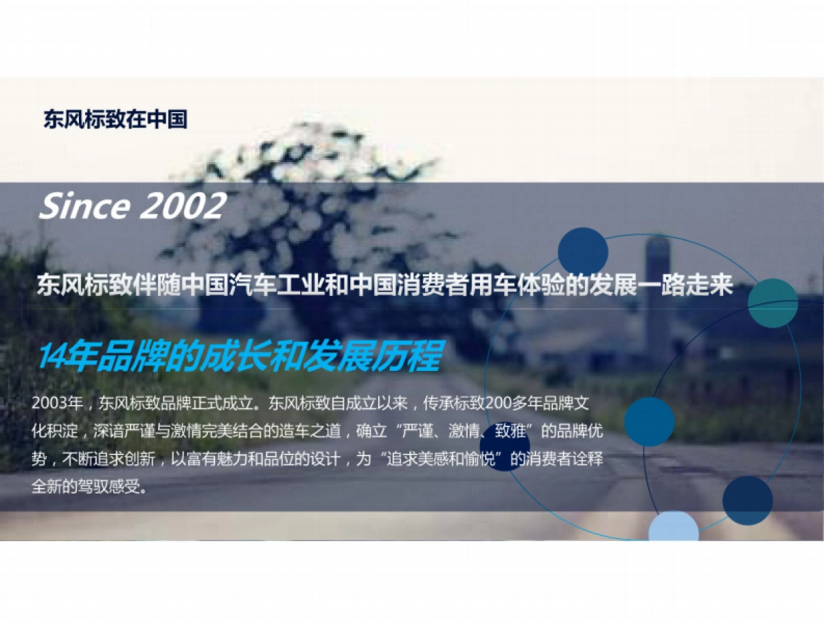 东风标致动感品牌体验行动策划方案_第6页