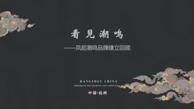 凤起潮鸣品牌建立回顾