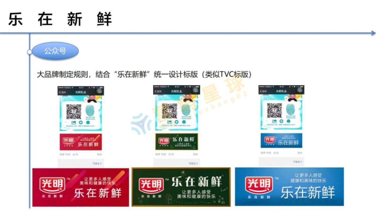 光明乳业2017年品牌策略_第9页