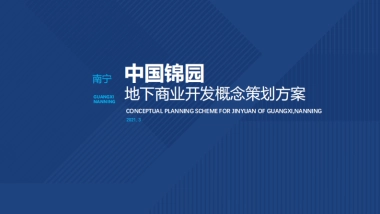 广西南宁沉浸式地下商业街开发概念规划策划案-234P
