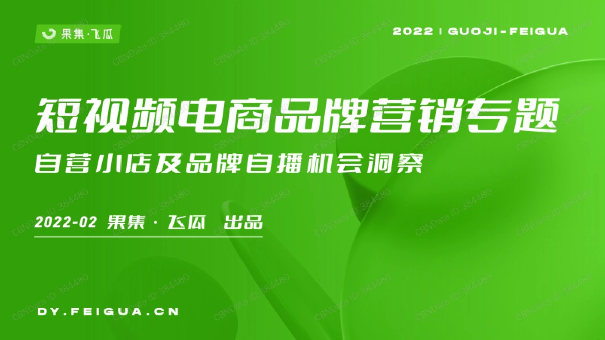 果集：2022年短视频电商品牌营销专题_第1页