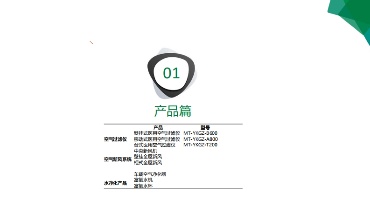 杭州敏泰生物品牌定位策划_第2页