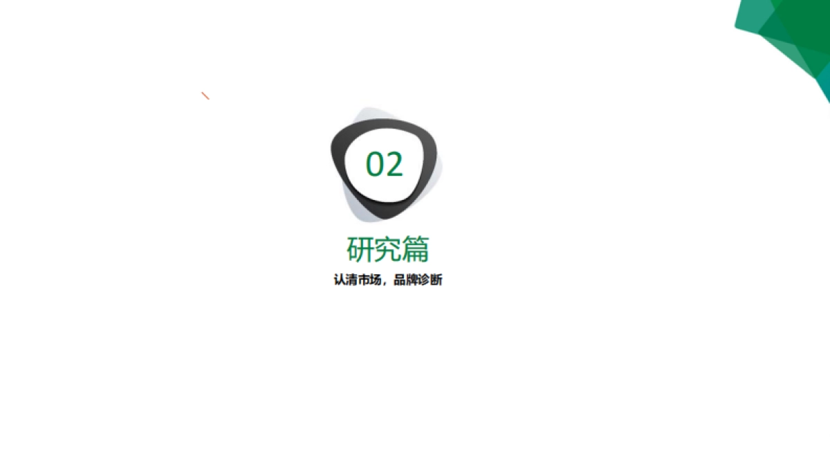 杭州敏泰生物品牌定位策划_第7页