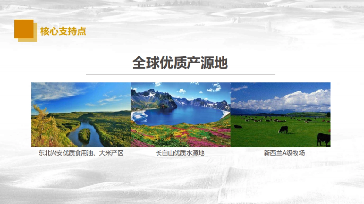 恒大农牧品牌年度品牌策划案_第10页