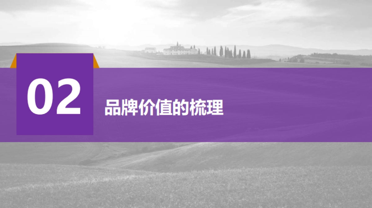 恒大农牧品牌年度品牌策划案_第6页