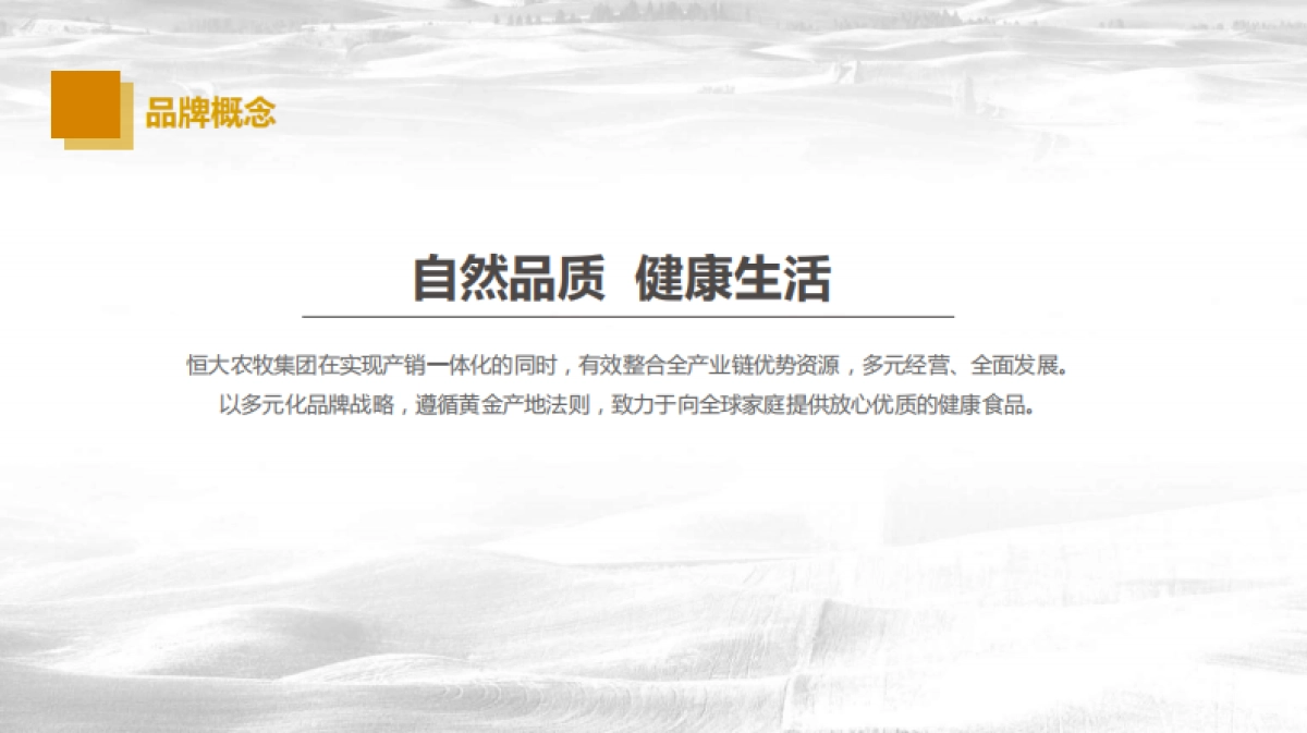 恒大农牧品牌年度品牌策划案_第8页