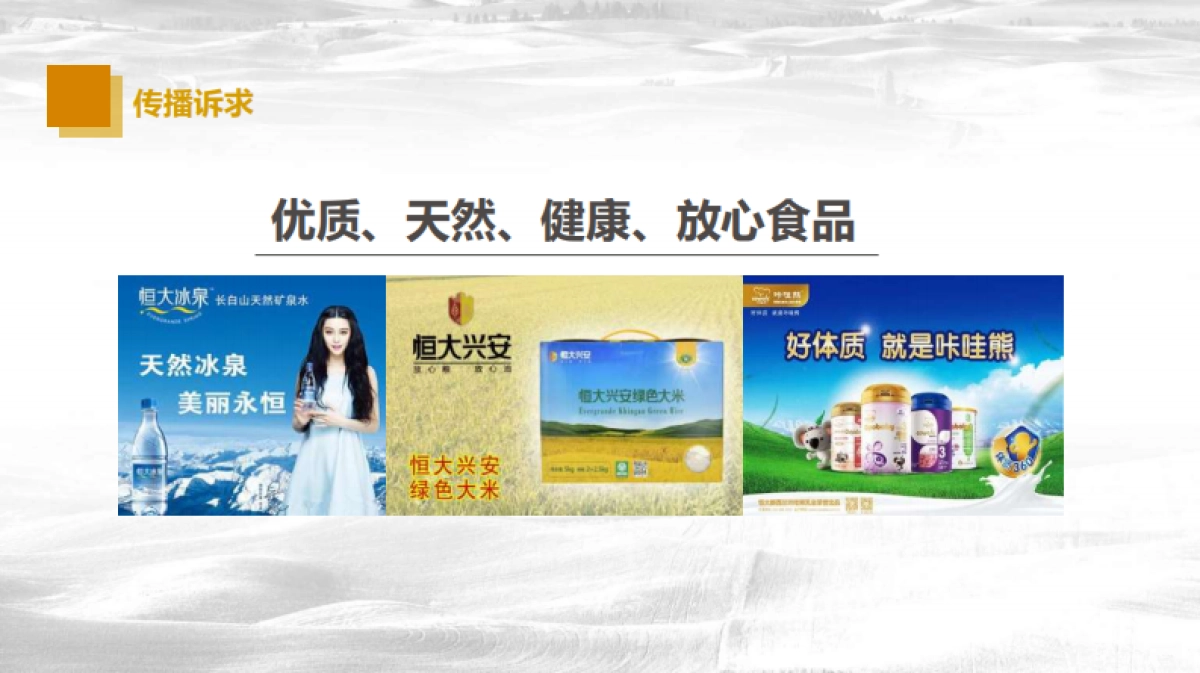 恒大农牧品牌年度品牌策划案_第9页