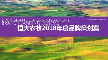 恒大农牧品牌年度品牌策划案