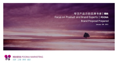 护肤品新品牌策划方案-亚麻籽