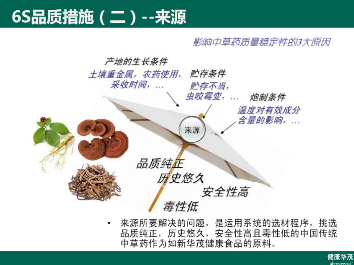 华茂经典品牌故事 _第9页
