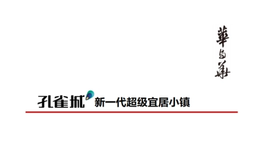 华与华孔雀城新一代超级宜居小镇品牌方案