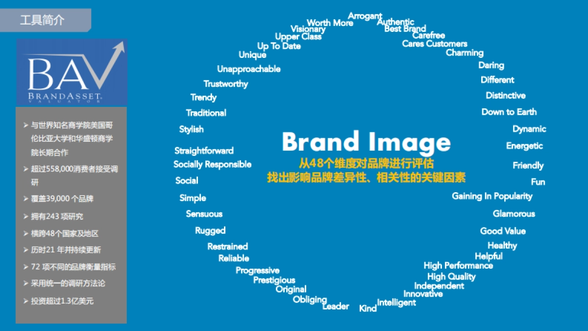 汇仁女金胶囊品牌定位方案_第10页