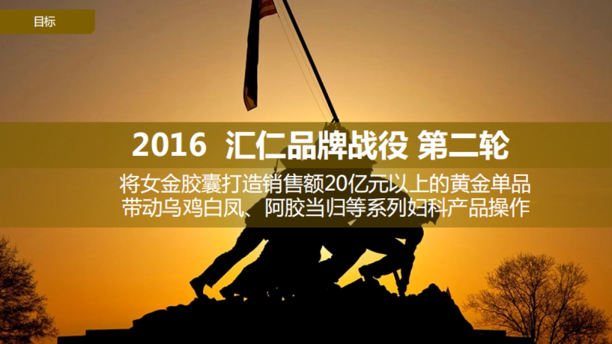 汇仁女金胶囊品牌定位方案_第3页