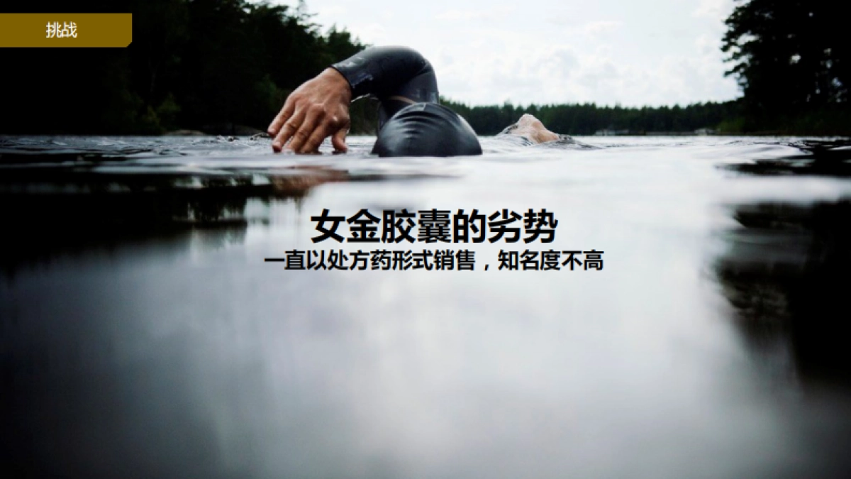 汇仁女金胶囊品牌定位方案_第5页