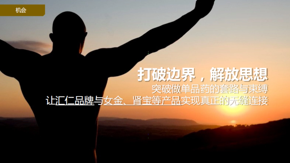 汇仁女金胶囊品牌定位方案_第6页