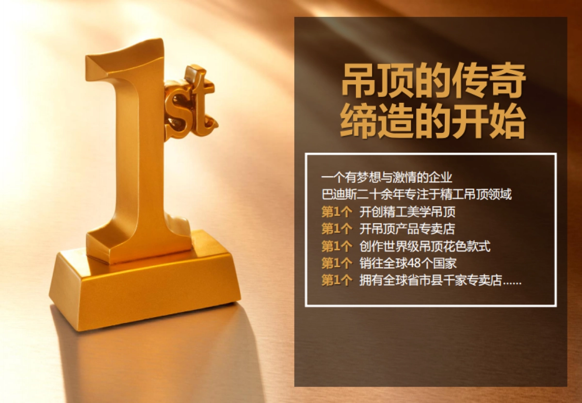 建材行业巴迪斯品牌优势_第4页