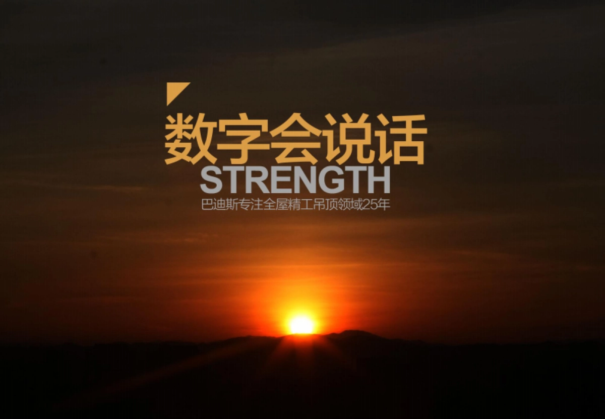 建材行业巴迪斯品牌优势_第6页