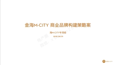 金海M-CITY-商业品牌提报
