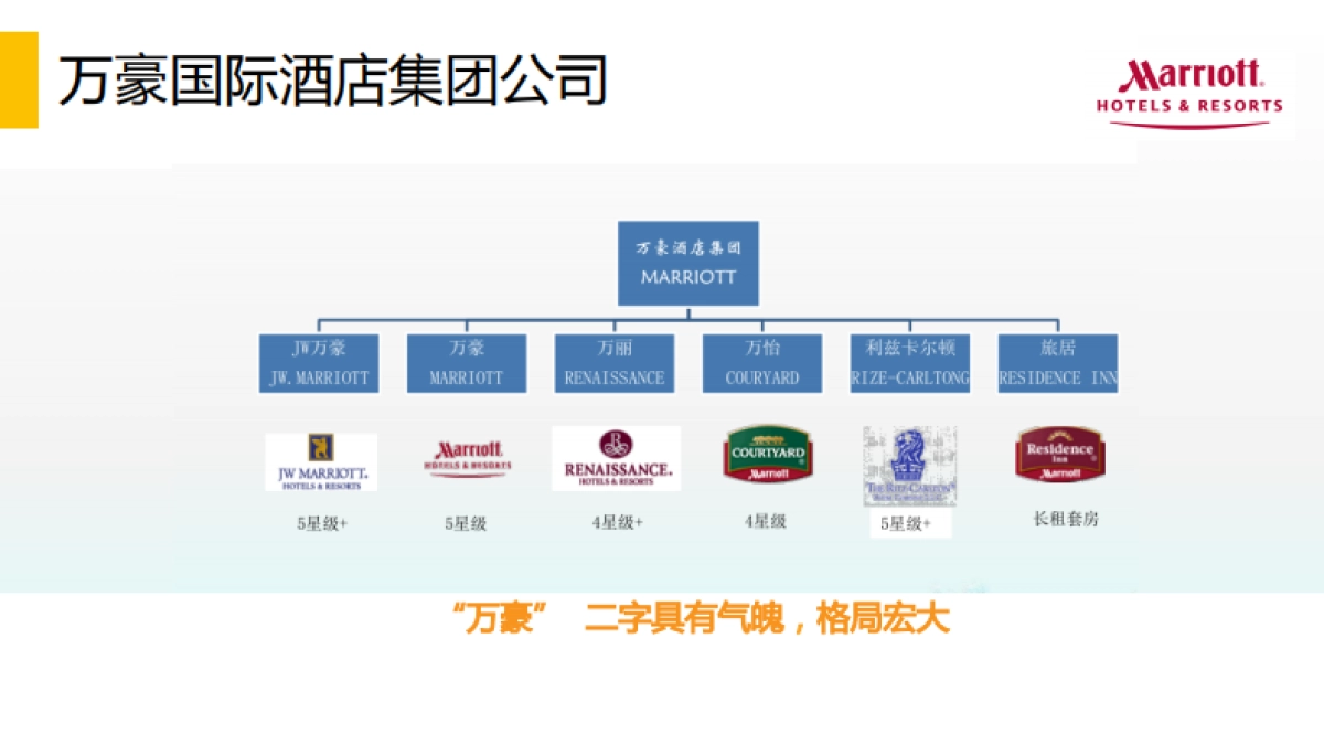 金茂集团品牌创意策划及品牌Logo及VI设计方案_第8页