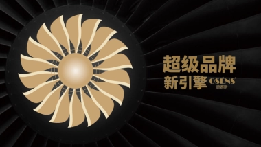 鲸领生活品牌符号方案