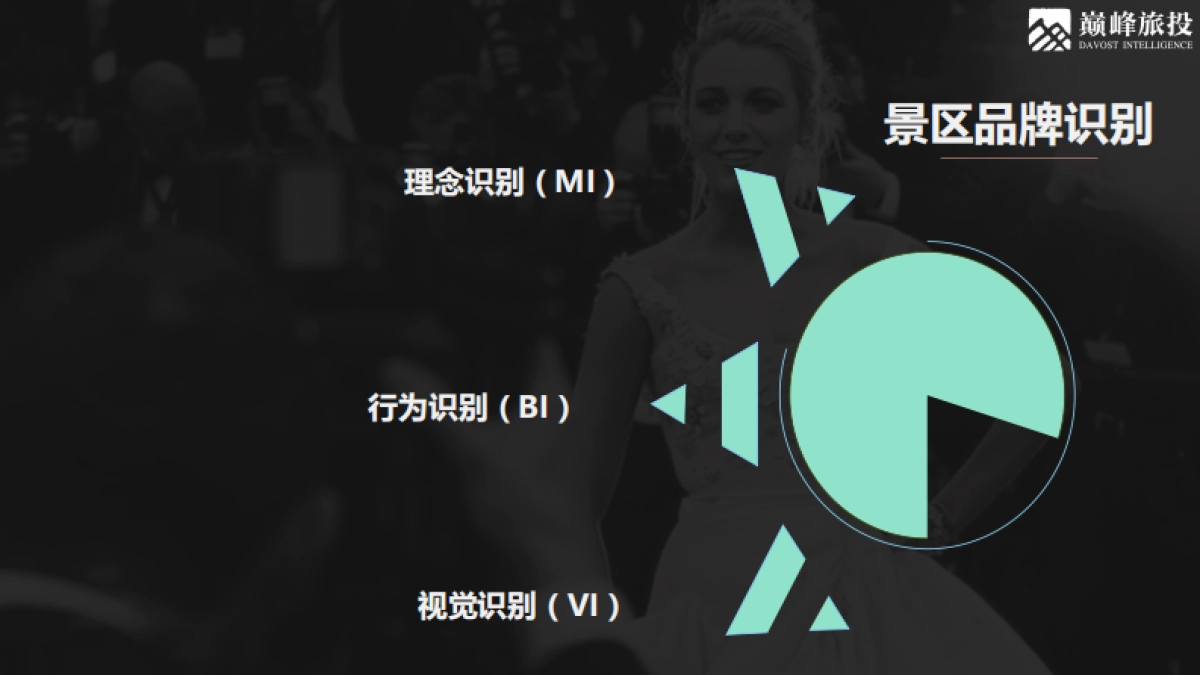 景区品牌创建及提升业务方案报价_第8页