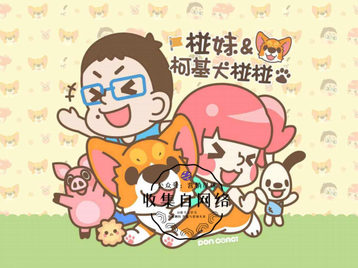 卡洛特-柯基犬椪椪品牌介紹_第1页