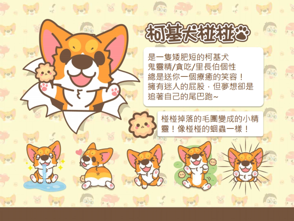 卡洛特-柯基犬椪椪品牌介紹_第6页