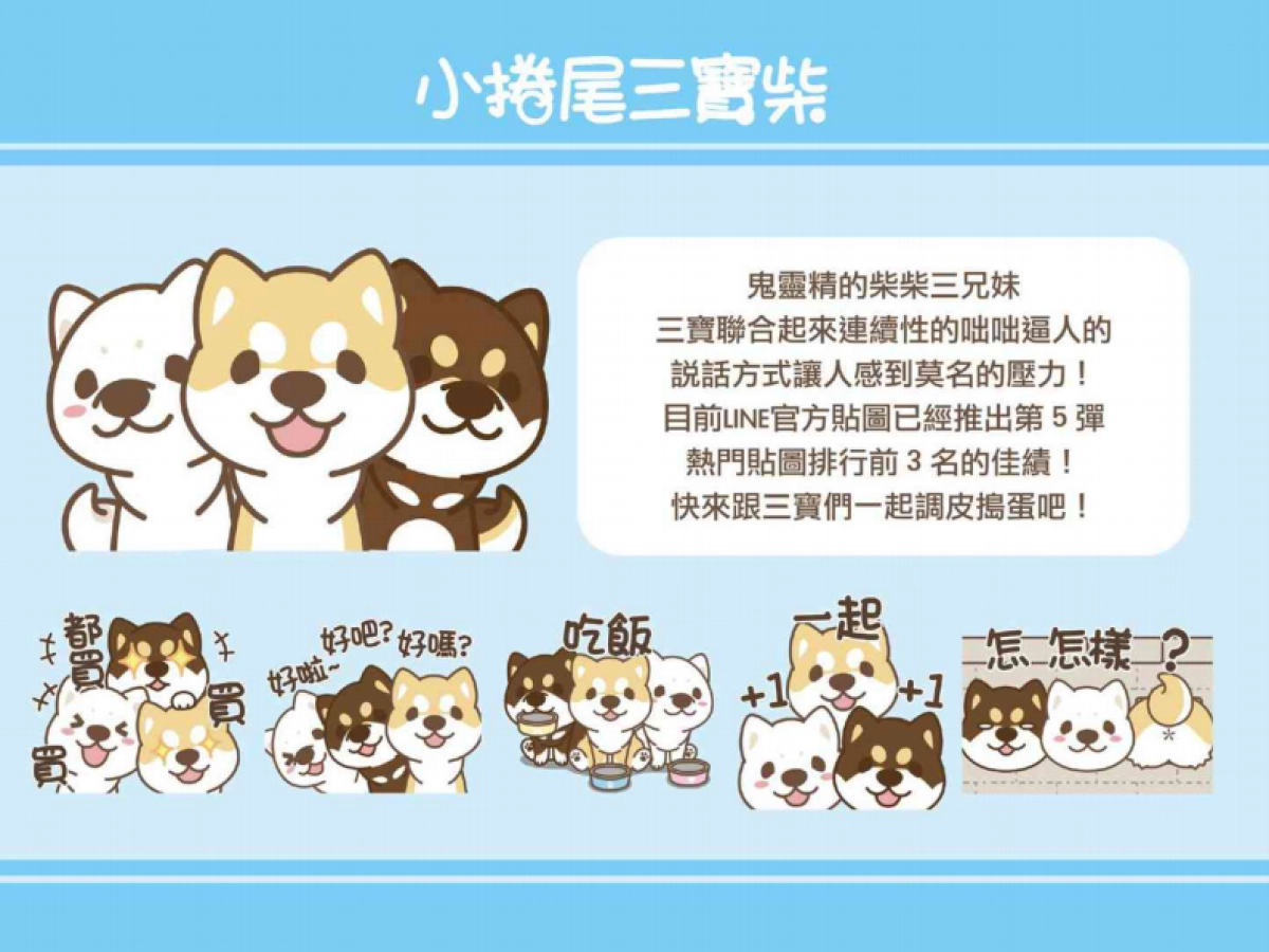 卡洛特-柯基犬椪椪品牌介紹_第8页