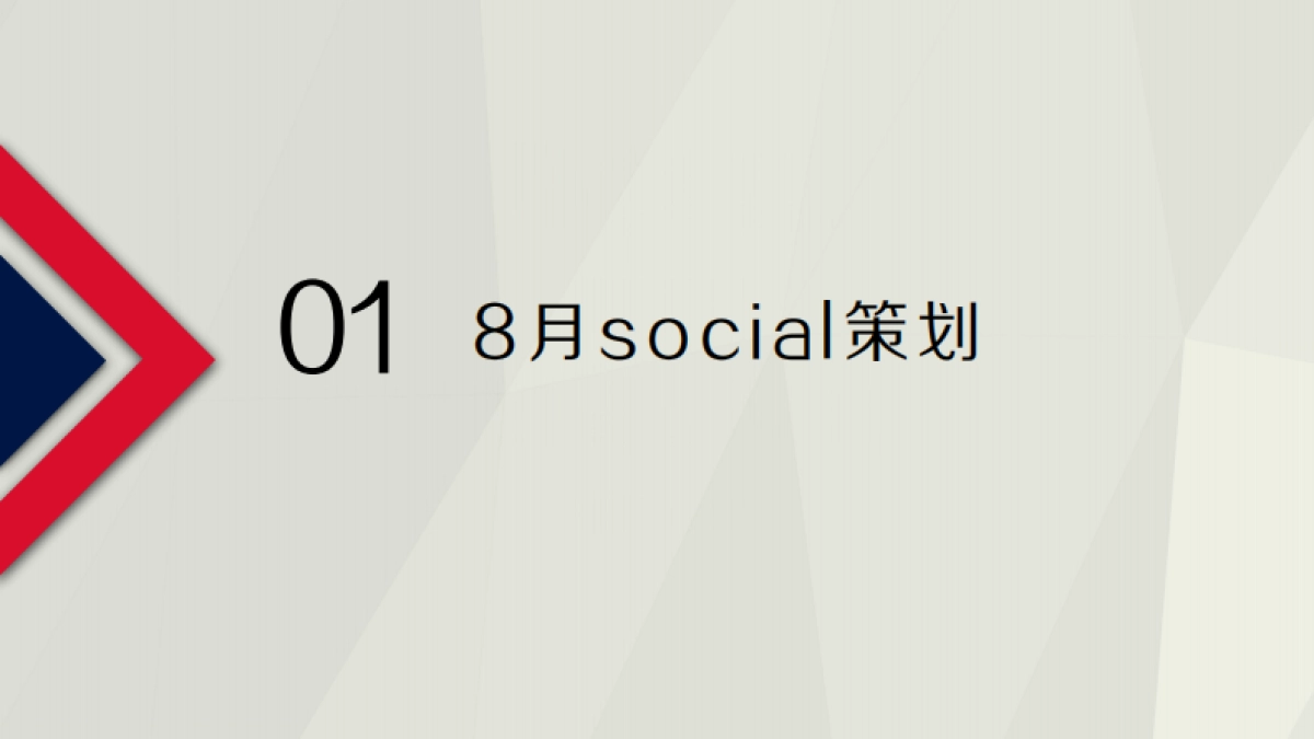 可靠coco成人纸尿裤social策划方案_第2页