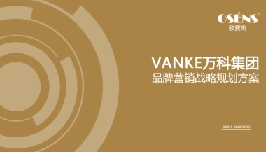 万科集团品牌营销战略规划方案