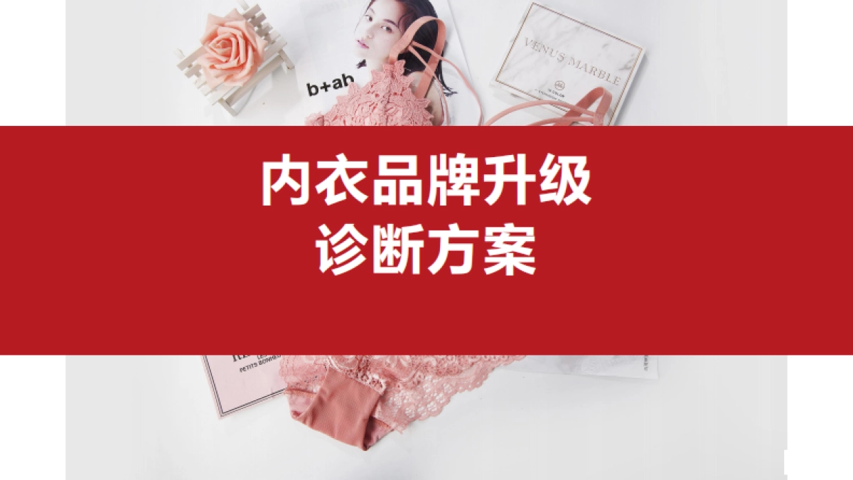 猫人品牌诊断方案_第1页