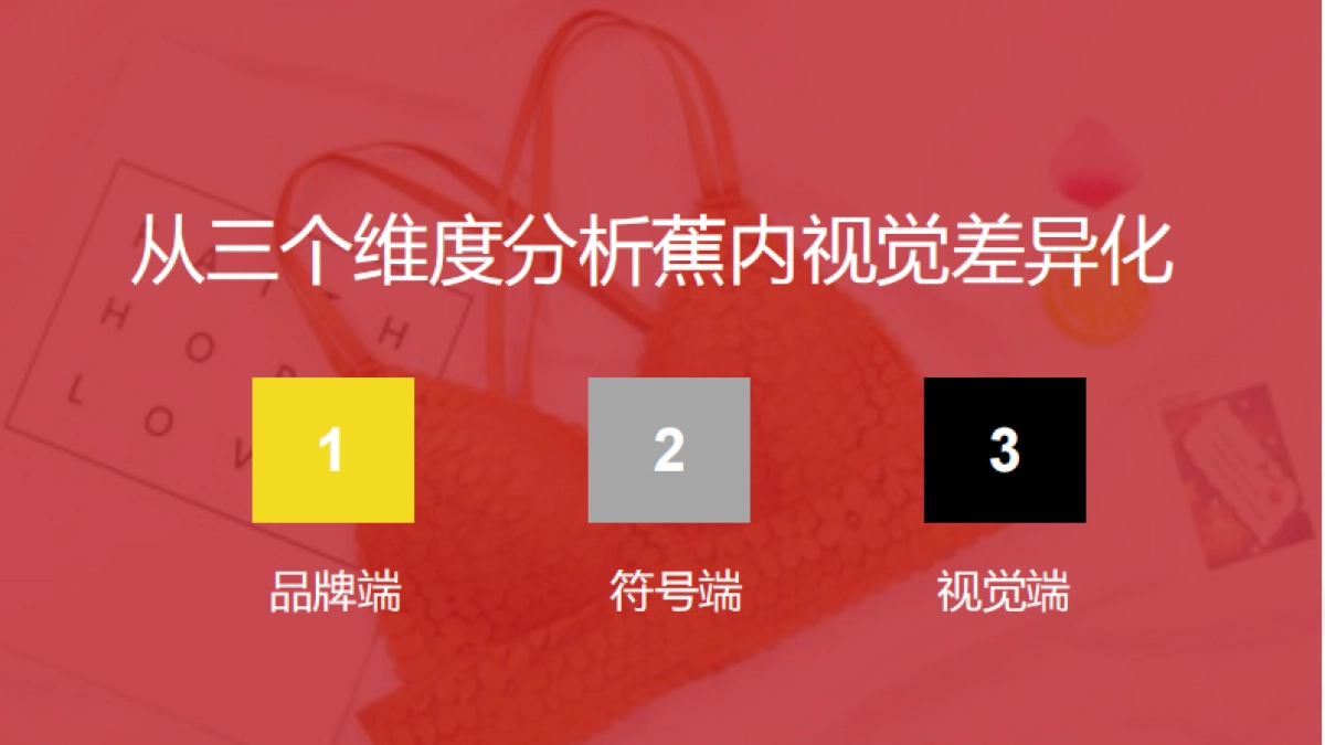 猫人品牌诊断方案_第3页