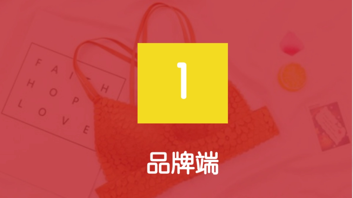 猫人品牌诊断方案_第4页