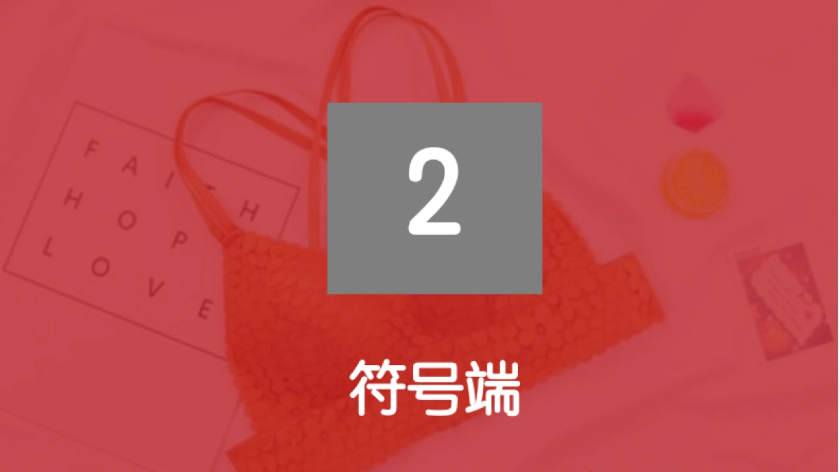 猫人品牌诊断方案_第9页