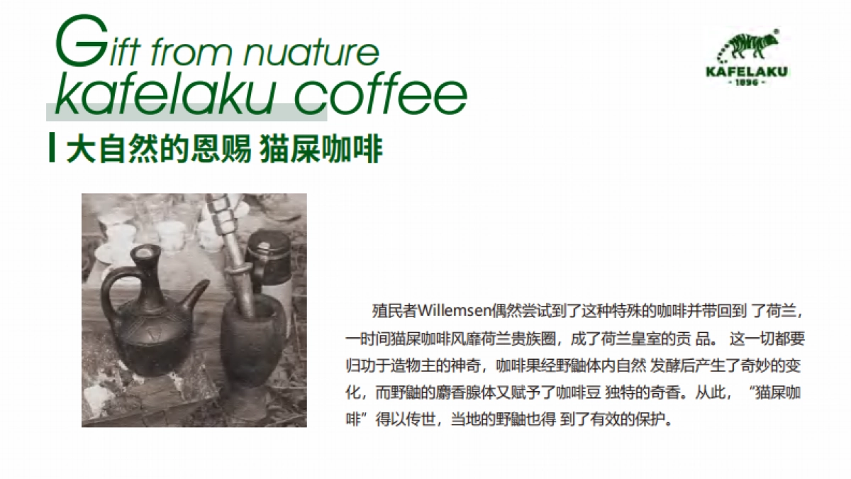 猫屎咖啡品牌资料_第4页