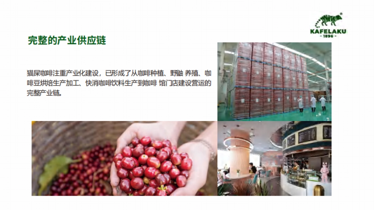 猫屎咖啡品牌资料_第6页