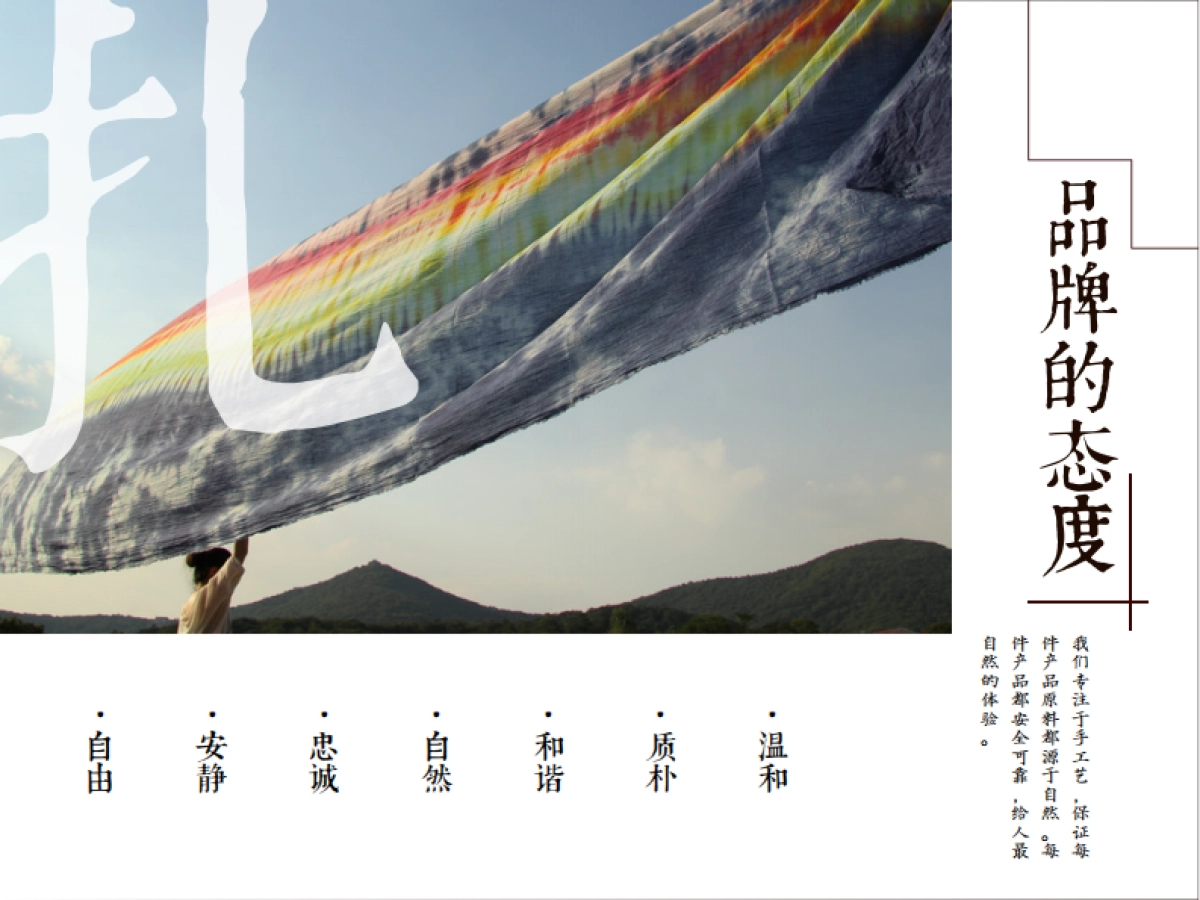 毛工艺染织品牌命名_第5页